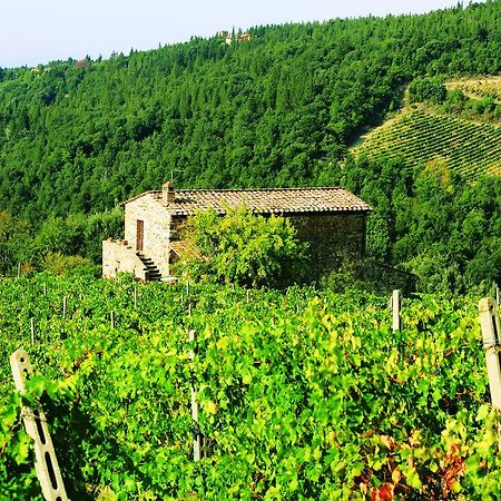 Agriturismo Piemaggino Кастелина ин Шианти Экстерьер фото