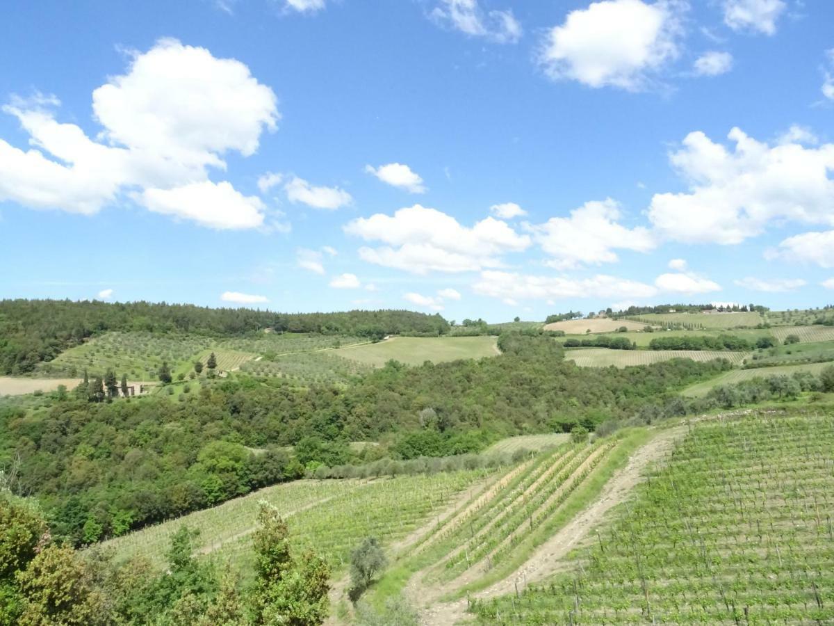 Agriturismo Piemaggino Кастелина ин Шианти Экстерьер фото